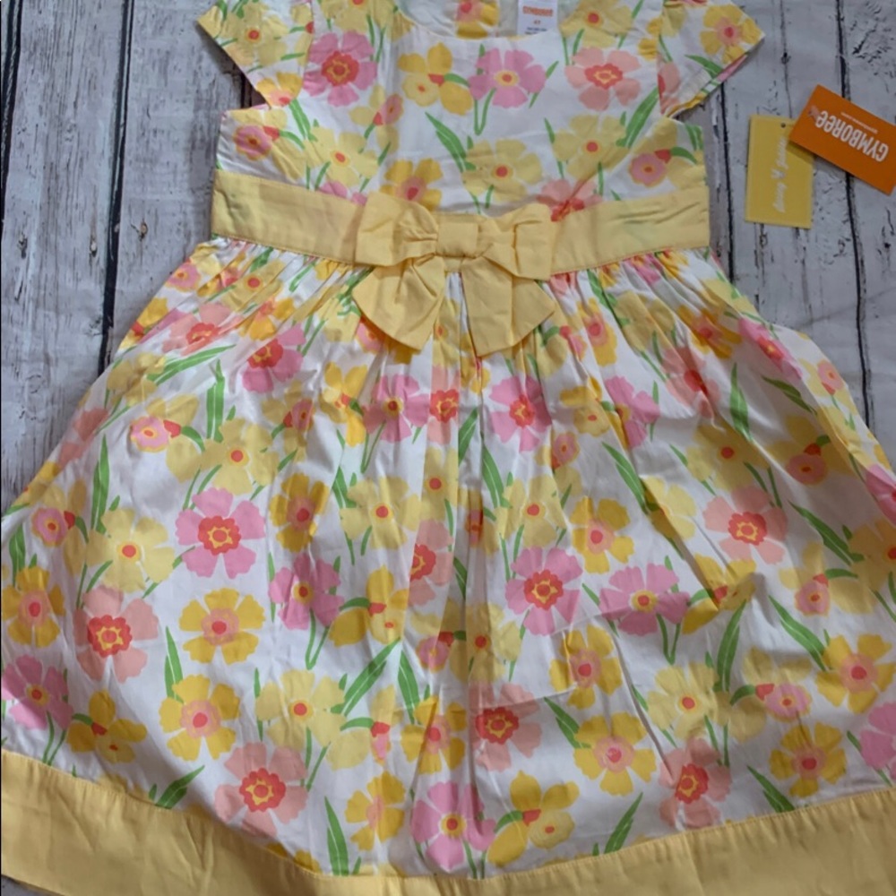 New Gymboree dress